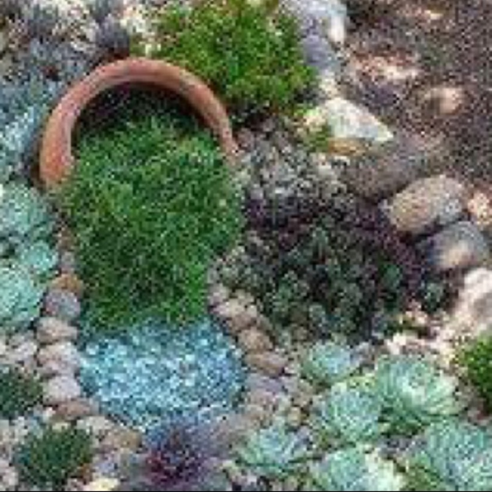 Meet your Posher, Lorraine